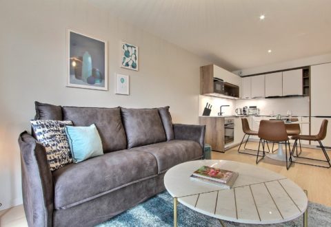 1&nbsp;bedroom apartment rental in Paris, Rue de Lourmel