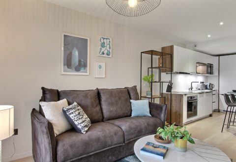 1&nbsp;bedroom apartment rental in Paris, Rue de Lourmel