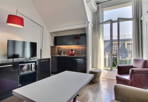 Furnished apartment 1&nbsp;bedroom in Paris 8th, Avenue des Champs-Élysées